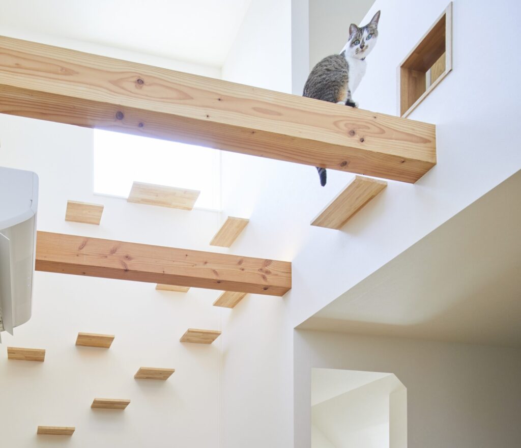 梁を活かしたｷｬｯﾄｳｫｰｸ